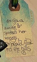 Gaia's
Wings Story