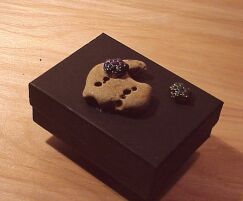 two turtles box