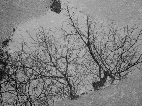 on reflection