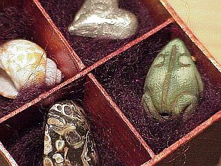 bone frog box