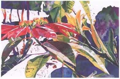 kathy johnson