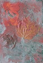 Leaves Postcard
