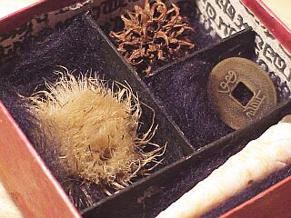 red turtle box