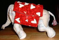 soren's bag
