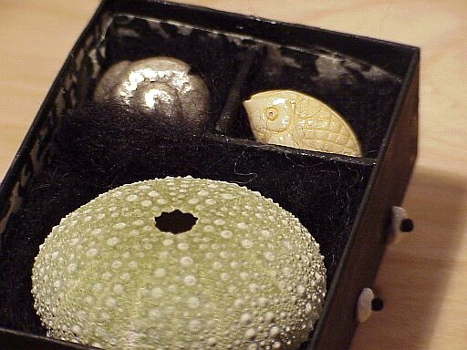 urchin box