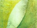 glazing