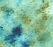 sponging