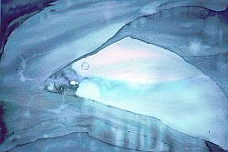 watercolor
painting
13